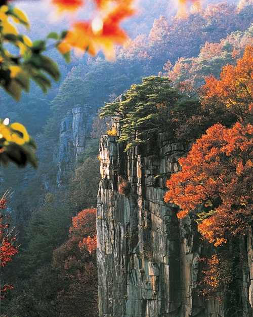 만추지정의 사인암.