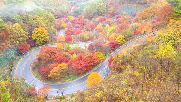 가을옷 입은 단양 보발재